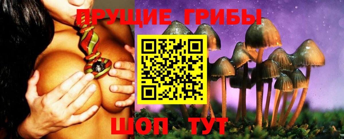 Галлюциногенные грибы ЛСД  Вход с VPN  Солнечногорск 